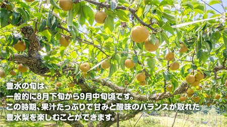 梨 豊水 約5kg（10～16個）【2026年9月より発送開始】（茨城県共通返礼品 [梨]：大子町産）