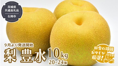 梨 豊水 10kg 20～24個【令和6年9月から発送開始】（茨城県共通返礼品