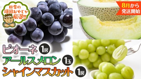 アールスメロン 1個 シャインマスカット 1房 ピオーネ 1房【8月発送開始】