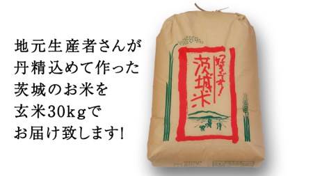 令和４年産 茨城県産 コシヒカリ 玄米 30kg（1袋） こしひかり 国産