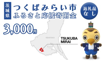 【返礼品なし】茨城県つくばみらい市ふるさと応援寄附金（3,000円)
