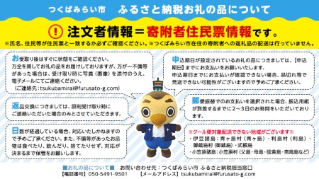 【お中元熨斗付】ショコラフリュイ4種セット（トロピカル、アップルジンジャー、レモンチーズ、オレンジ） チョコレート チョコ スイーツ デザート 高級 ギフト 贈り物 お礼 プレゼント 手土産 お菓子