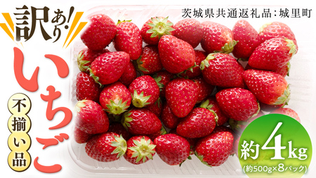 【訳あり】いちご 4kg【1月から発送開始】 （茨城県共通返礼品 [いちご]：城里町産）
