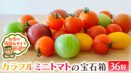 カラフルミニトマト の 宝石箱 36粒   【令和6年1月から発送開始】 