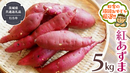 紅あずま 5kg 【2025年10月から発送開始】（茨城県共通返礼品 [さつまいも]：行方市産）