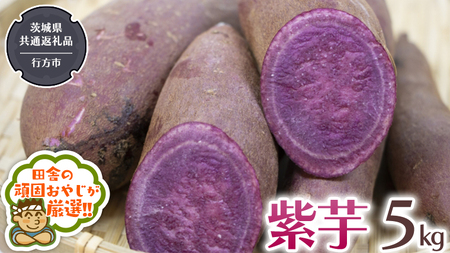 紫芋 5kg 【令和6年12月から発送開始】（県内共通返礼品：行方市産） さつまいも 紫芋 芋 いも 野菜