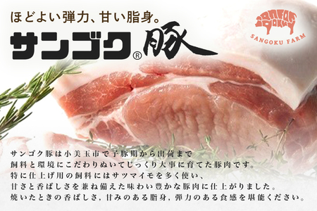 ブランド豚「サンゴク豚」 小間切れセット 2kg 豚ロース 小間切れ 細切れ こま切れ 豚こま 豚小間 豚小間肉 小分け 2-P