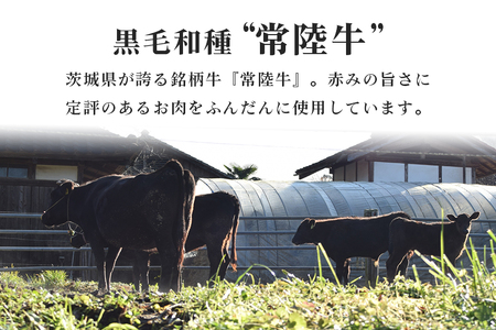ローズポーク＆常陸牛メンチカツ 5個×4パック 17-AJ