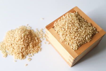 【期間限定】 ひとめぼれ 玄米 20kg（茨城県共通返礼品） お米 精米 玄米 白米 ごはん ご飯 単一原料米 茨城県産 美容 健康 69-H ＜2026年7月31日まで受付＞