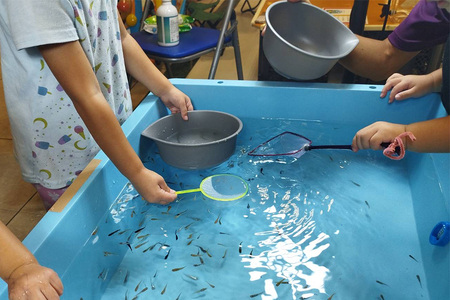 メダカ1匹選別用 タモ網（角型・短め） 3本セット メダカ タモ 網 セット めだか タモ網 手作り 天然素材 高品質 軽量 耐久 飼育 83-K