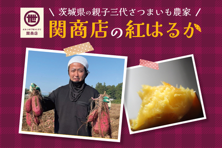 【2026年2月以降順次発送予定】関商店 干し芋平干し 紅はるか 660g（220g×3袋） 国産 茨城 62-D