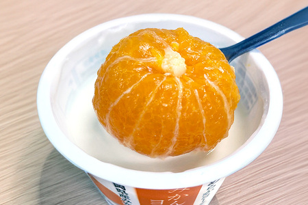 まるごとみかんヨーグルト 100g×10個 ヨーグルト みかん まるごと 朝食 朝ごはん 朝活 乳製品 低糖 低カロリー ギフト 誕生日 内祝い スイーツ 腸活 善玉菌 善玉菌ケア 菌活 乳酸菌 1-R