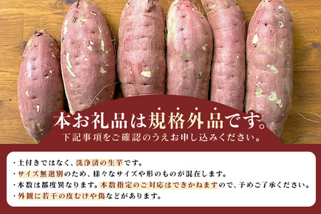さつまいも 紅はるか 規格外品 10kg サツマイモ さつま芋 生芋 べにはるか 訳あり 国産 茨城県産 箱 直送 やきいも 焼いも 焼き芋 焼芋 おやつ スイーツ作り ケーキ作り スイートポテト 大学芋 大学いも 12-AX