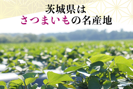 さつまいも 紅はるか 規格外品 10kg サツマイモ さつま芋 生芋 べにはるか 訳あり 国産 茨城県産 箱 直送 やきいも 焼いも 焼き芋 焼芋 おやつ スイーツ作り ケーキ作り スイートポテト 大学芋 大学いも 12-AX