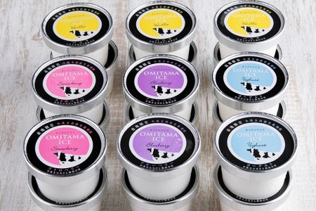 おみたまアイス 18個セット アイス  1-E