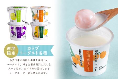 おみたまヨーグルトセット ヨーグルト ドリンクタイプ 飲むヨーグルト 乳酸菌飲料 ヨーグルト飲料 低糖 低カロリー 敬老の日 お取り寄せ 詰め合わせ プチギフト 誕生日 内祝い スイーツ 腸活 善玉菌 善玉菌ケア 菌活 乳酸菌ドリンク ビフィズス菌 1-L