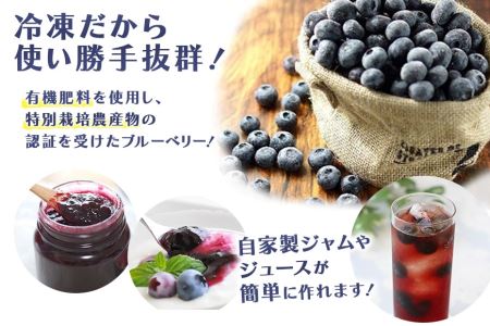 冷凍ブルーベリー 1kg ブルーベリー 冷凍 冷凍ブルーベリー フルーツ 果物 冷凍フルーツ 冷凍果物 スムージー ジュース ビタミンE アントシアニン ジャム 目にいい 健康 美容 食物繊維 瞳の健康 ギフト 贈り物 茨城県産 人気 プレゼント 9-I 【6月下旬から順次発送予定】