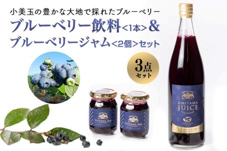 果汁50％ブルーベリー飲料1本＆ブルーべリ－ジャム2個セット