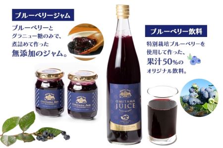 果汁50％ブルーベリー飲料1本＆ブルーべリ－ジャム2個セット