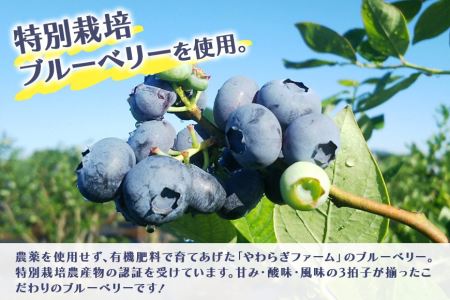 果汁50％ブルーベリー飲料1本＆ブルーべリ－ジャム2個セット