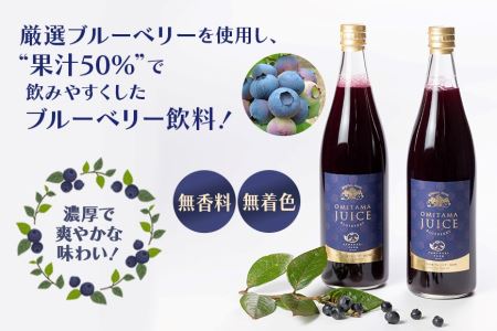 果汁50％ブルーベリー飲料2本セット ブルーベリー ブルーベリー飲料 フルーツ 果物 フルーツジュース ジュース ビタミンE アントシアニン 栄養 目にいい 健康 美容 瞳の健康 ギフト 贈り物 茨城県産 人気 プレゼント セット ドリンク 9-L