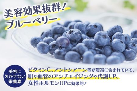 果汁50％ブルーベリー飲料2本セット ブルーベリー ブルーベリー飲料 フルーツ 果物 フルーツジュース ジュース ビタミンE アントシアニン 栄養 目にいい 健康 美容  瞳の健康 ギフト 贈り物 茨城県産 人気 プレゼント セット ドリンク 9-L