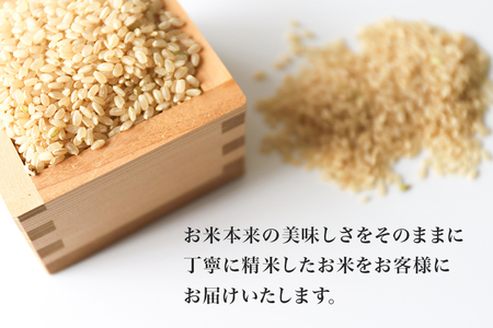 令和６年産米 小美玉産ミルキークイーン 10kg みるきーくいーん お米 白米 茨城県 小美玉市 17-J