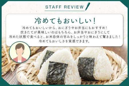 コシヒカリ 10kg 令和5年産 こしひかり 10キロ 特別栽培米 お米 ご飯 白米 送料無料 減農薬 茨城県産米 茨城産米 精米 令和5年産米 国産国消 お祝い 内祝い ギフト 22-C