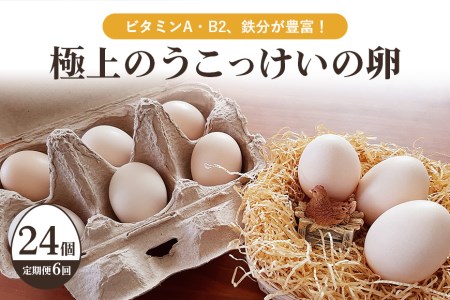 平飼い極上のうこっけいの卵24個（20＋補償4個）×定期便6回 卵