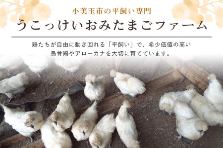 平飼い極上のうこっけいの卵24個（20＋補償4個）×定期便6回 卵かけご飯 卵かけごはん TKG 卵 たまご タマゴ 玉子 烏骨鶏 烏骨鶏の卵 安全 テレビ TV マニアさん 健康 美容 ご飯 すき焼き 目玉焼き 卵焼き 玉子焼き たまご焼き ＜TBS系列『熱狂！1/365のマニアさん』やBSテレビ東京『都会を出て暮らそうよ』で紹介のうこっけいおみたまごファーム＞ 37-B