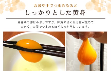 平飼い極上のうこっけいの卵24個（20＋補償4個）×定期便6回 卵かけご飯 卵かけごはん TKG 卵 たまご タマゴ 玉子 烏骨鶏 烏骨鶏の卵 安全 テレビ TV マニアさん 健康 美容 ご飯 すき焼き 目玉焼き 卵焼き 玉子焼き たまご焼き ＜TBS系列『熱狂！1/365のマニアさん』やBSテレビ東京『都会を出て暮らそうよ』で紹介のうこっけいおみたまごファーム＞ 37-B