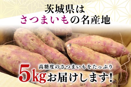 干し芋屋のさつまいも（紅はるか） 5kg サツマイモ さつま芋 生芋 べにはるか ベニハルカ 国産 茨城県産 箱 直送 やきいも 焼いも 焼き芋 焼芋 おやつ スイーツ作り ケーキ作り スイートポテト 大学芋 大学いも 5キロ 干し芋屋の鶴田商店がこだわって作る紅はるか 低温熟成 ねっとり甘い 甘み 旨み 12-R