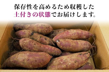 干し芋屋のさつまいも（紅はるか） 5kg サツマイモ さつま芋 生芋 べにはるか ベニハルカ 国産 茨城県産 箱 直送 やきいも 焼いも 焼き芋 焼芋 おやつ スイーツ作り ケーキ作り スイートポテト 大学芋 大学いも 5キロ 干し芋屋の鶴田商店がこだわって作る紅はるか 低温熟成 ねっとり甘い 甘み 旨み 12-R