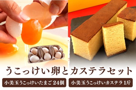 小美玉カステラとうこっけい卵24個（20＋補償4個）セット カステラ かすてら 烏骨鶏 卵 うこっけい 鶏卵 高級卵 高級 たまご 玉子 烏骨鶏の卵 国産 ギフト スイーツ 焼菓子 御贈答 お返し 安全 マニアさん 健康 美容 目玉焼き 卵焼き 卵かけごはん TKG 37-M