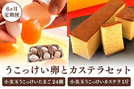 小美玉カステラとうこっけい卵24個（20＋補償4個）×定期便6回 セット カステラ かすてら 烏骨鶏 卵 うこっけい 鶏卵 高級卵 高級 国産 ギフト スイーツ 焼菓子 御贈答 お返し たまご 玉子 烏骨鶏の卵 安全 マニアさん 健康 美容 卵かけごはん TKG 37-P