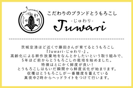 数量限定 ＜2024年6~7月発送予定＞ ブランドとうもろこし 「Juwari-じゅわり-」 ドルチェドリーム 約4kg以上（8～10本入り） とうもろこし トウモロコシ