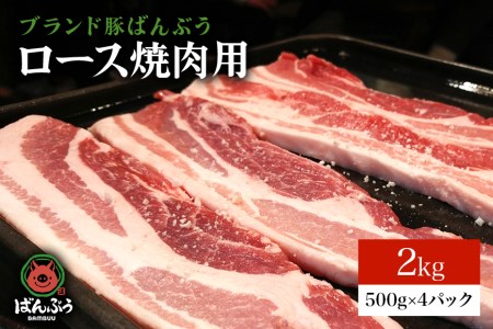 ブランド豚「ばんぶぅ」小分け ロース焼肉用 2kg（500g×4パック） 冷凍便 2キロ 豚肉 豚ロース 豚ローススライス肉 焼き肉用 やき肉用 やきにく用 ヤキニク用 薄切り肉 うす切り肉 ブタ肉 国産 茨城県産 ギフト プレゼント お祝い 42-AH 11,250円