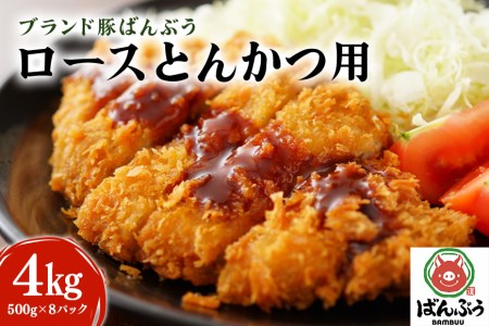 ブランド豚「ばんぶぅ」小分け ロース とんかつ用 4kg（500g×8パック） 冷凍便 4キロ たっぷり 豚肉 豚ロース トンカツ ロースかつ ロースカツ 豚カツ ロースカツ丼 ロースかつ丼 ロースカツカレー カツ煮 かつ煮 ポークソテー ぶた肉 ブタ肉 国産 茨城県産 ギフト プレゼント お祝い ご褒美 ゲン担ぎ 験担ぎ 必勝祈願 合格祈願 42-AP