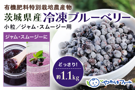 茨城県産冷凍ブルーベリー（小粒） 1.1kg 国産 小分け 特別栽培