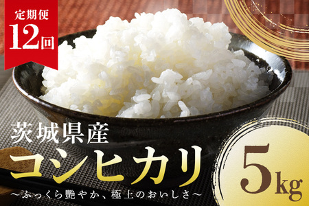 定期便12回】コシヒカリ 5kg こしひかり 米 白米 茨城県産 新米 お弁当