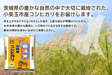 茨城米コシヒカリ 15kg 無洗米