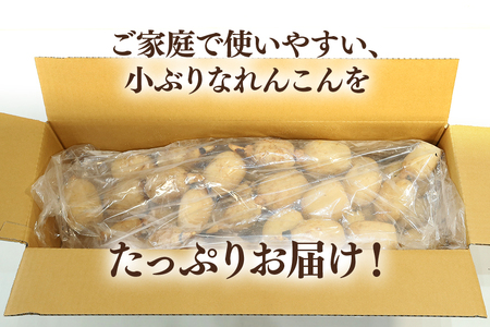 【数量限定・先行予約】＜11月中旬～12月上旬発送予定＞ ご家庭用ちょっと小さめ れんこん 約4㎏  17-AF