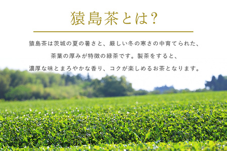 【茨城県共通返礼品 / 八千代町】水出し猿島茶ティーバッグシリーズ 4種 セット 合計260個  お茶 水出し ティーバッグ 緑茶 ほうじ茶 玄米茶 紅茶 ティーパック 冷茶 飲み比べ 47-AC