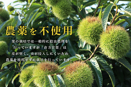 倉方甘栗の焼き栗 450g 10月中旬～12月末発送 無農薬 栗 和栗