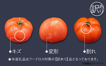 393【訳あり】茨城町産トマト 約2kg JA水戸