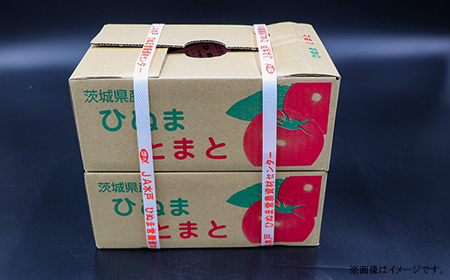 393【訳あり】茨城町産トマト 約2kg JA水戸