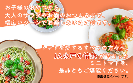 454 ミニトマト 1.5kg 甘い JA 水戸 茨城 2026年8月頃から順次発送予定