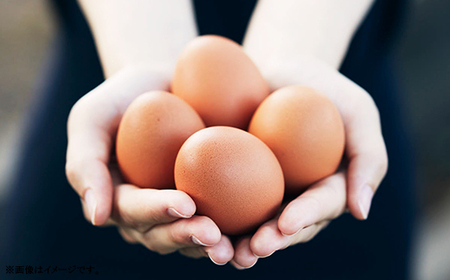 457 たまご 48個 8パック 定期便 12カ月 計576個 小分け 新鮮 赤 玉子 卵 タマゴ くらもちの農場 平飼い