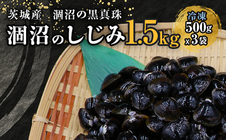 452 しじみ 冷凍 砂抜き 1.5kg 500g × 3袋 ひぬま やまと シジミ 涸沼 大和