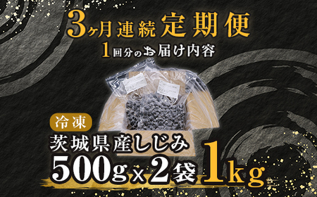 453 しじみ 定期便 1kg 冷凍 砂抜き 500g × 2袋 × 3回 ひぬま やまと シジミ 涸沼 大和 【3ヶ月連続お届け】